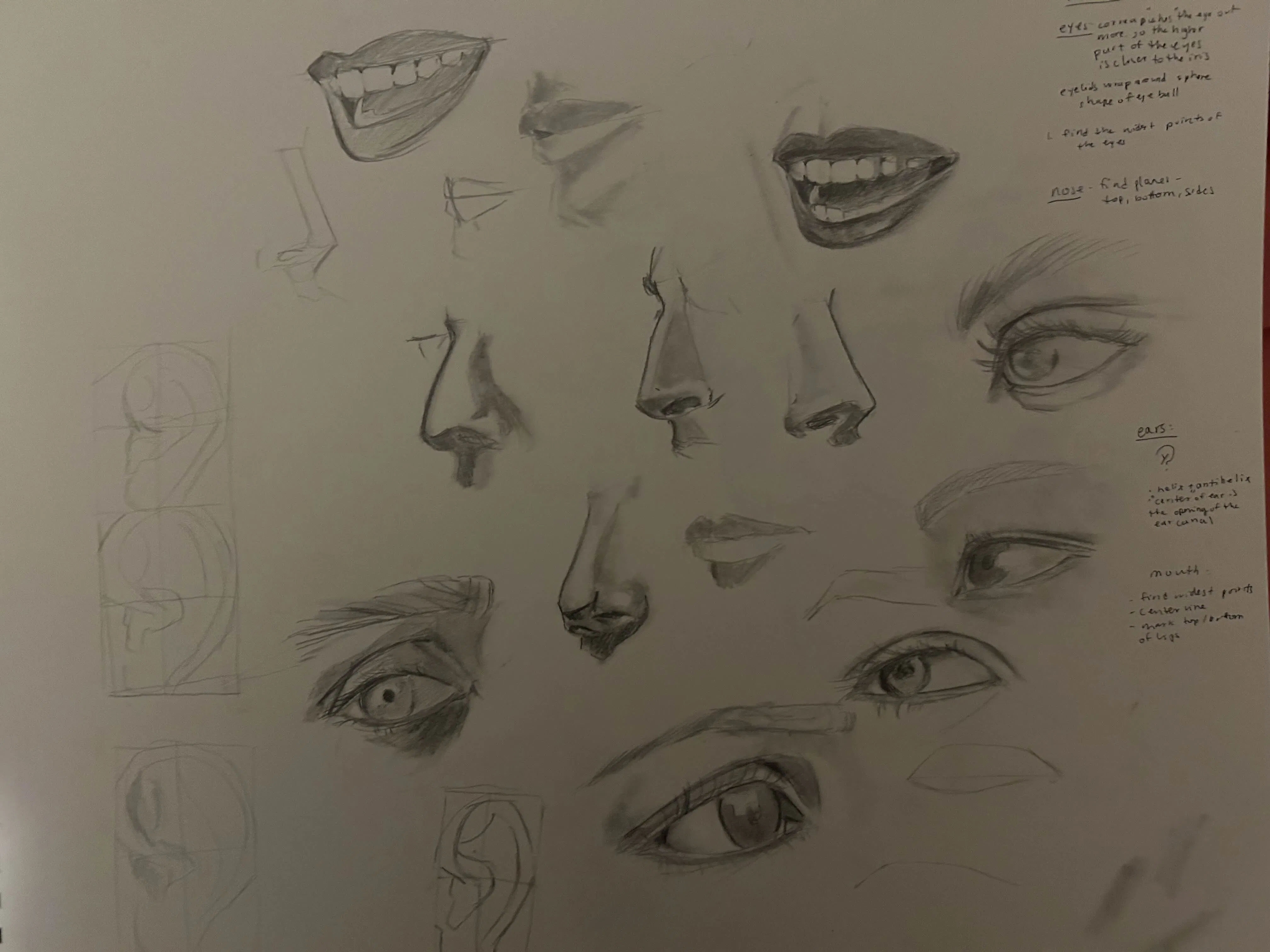 faceial