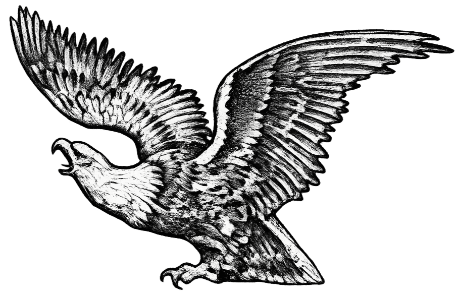 777 Plumbing Inc. Eagle Logo