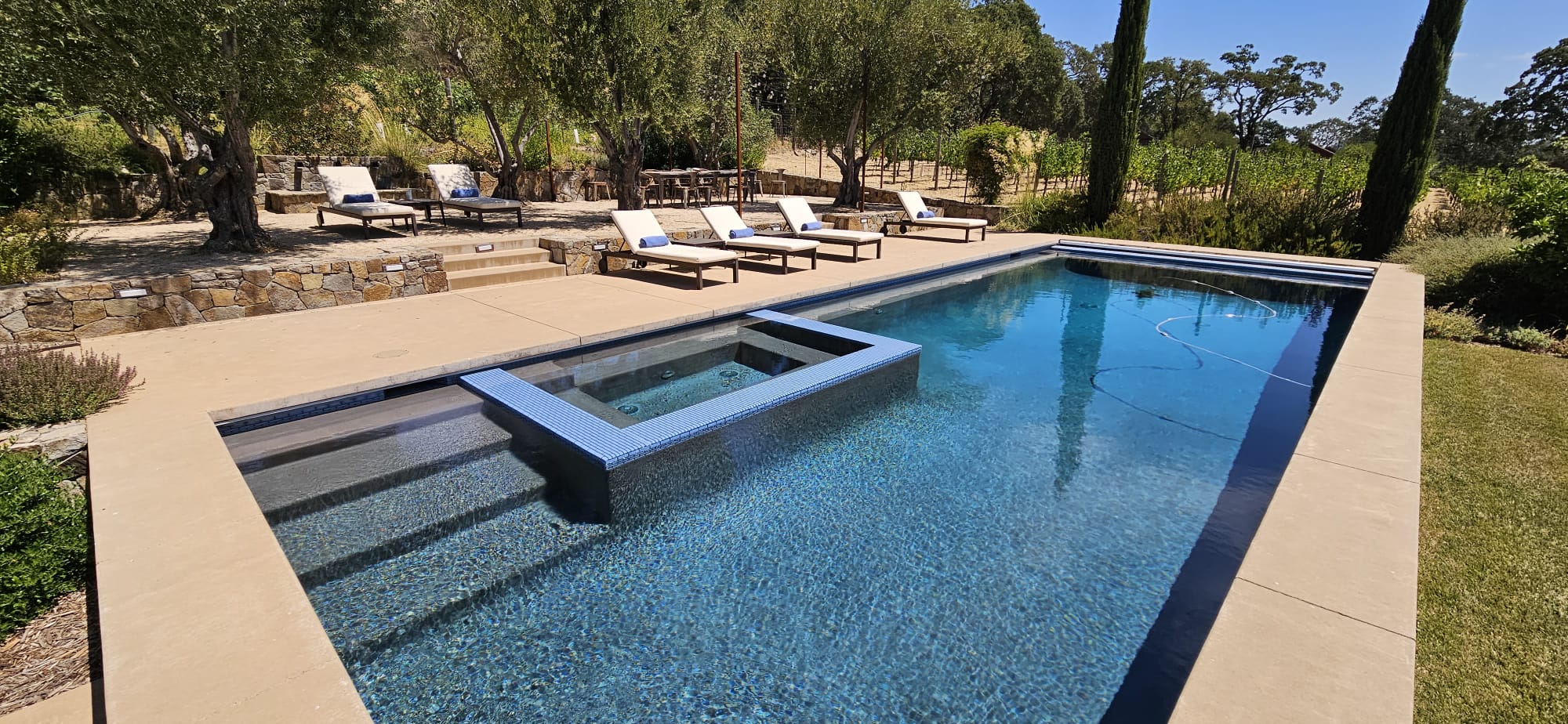 Pool Decks & Coping