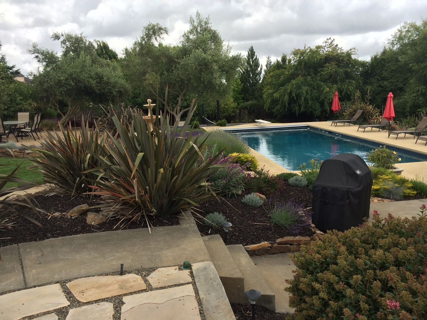 Why Choose B E Bird Landscape for Landscape Maintenance