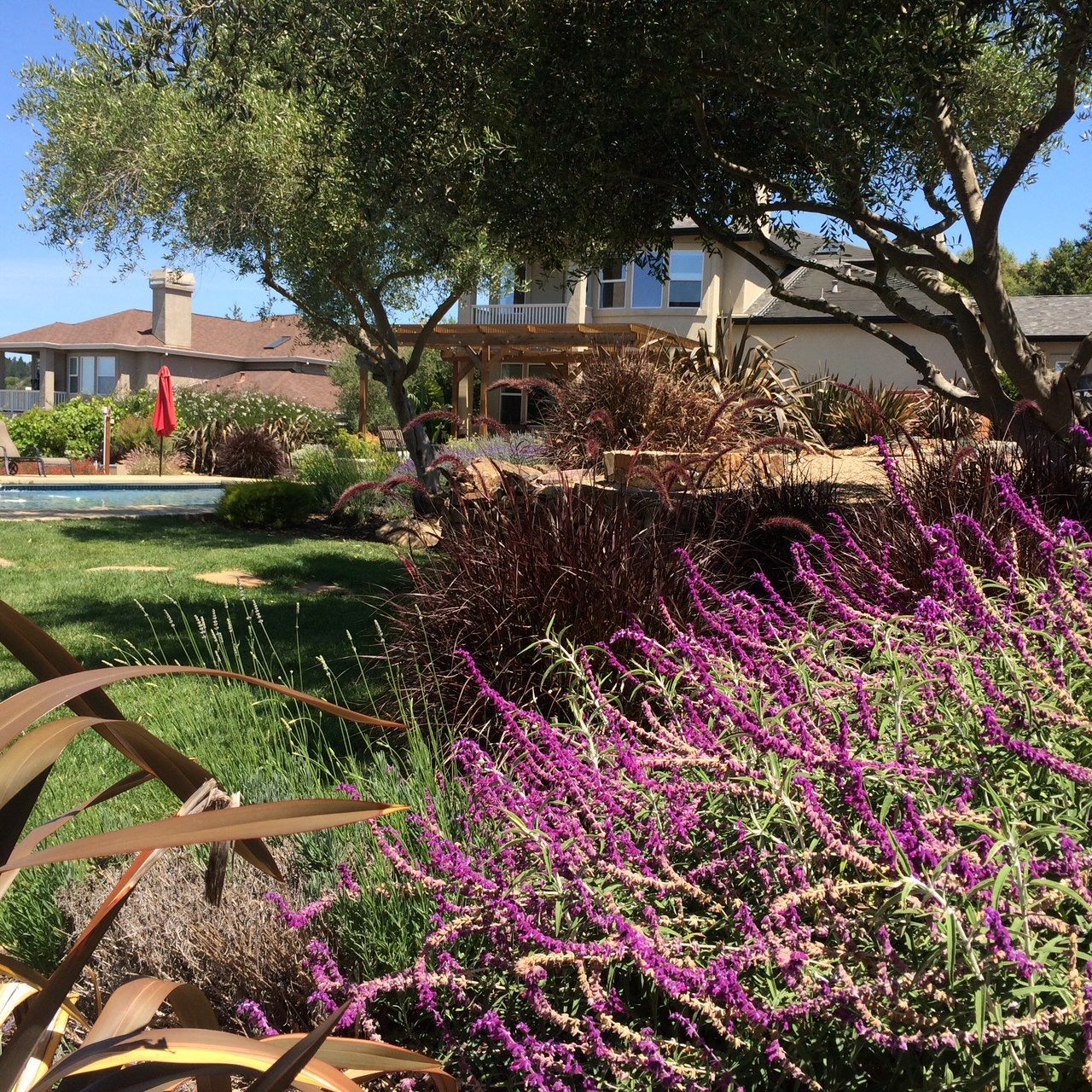 B E Bird Landscape – Lawn and Landscape Care