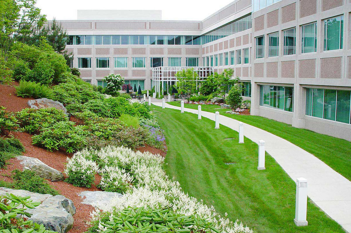 Landscape Care for commercial and residential properties in Sonoma County and surrounding areas