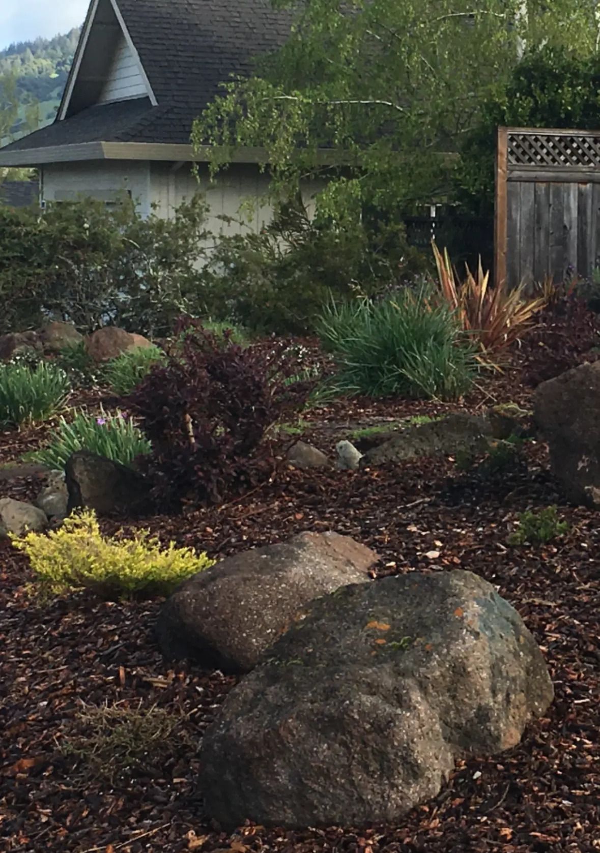 Landscape care services in Sonoma County and surrounding areas