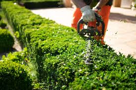 Landscape maintenance in Sonoma and surrounding areas