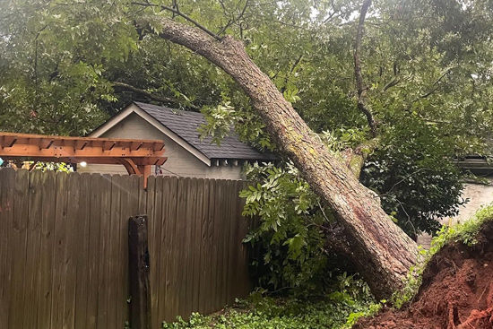 Emergency tree removal and tree service