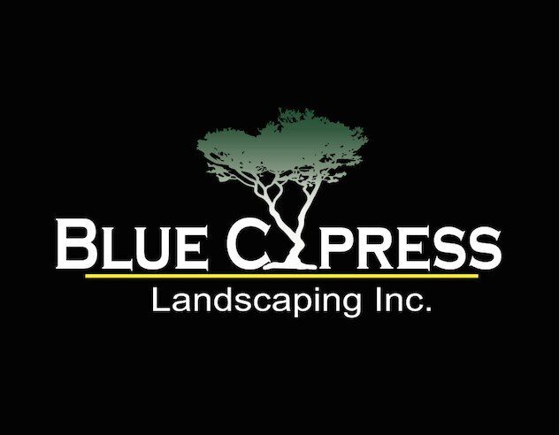 Blue Cypress Landscaping outdoor landscape project