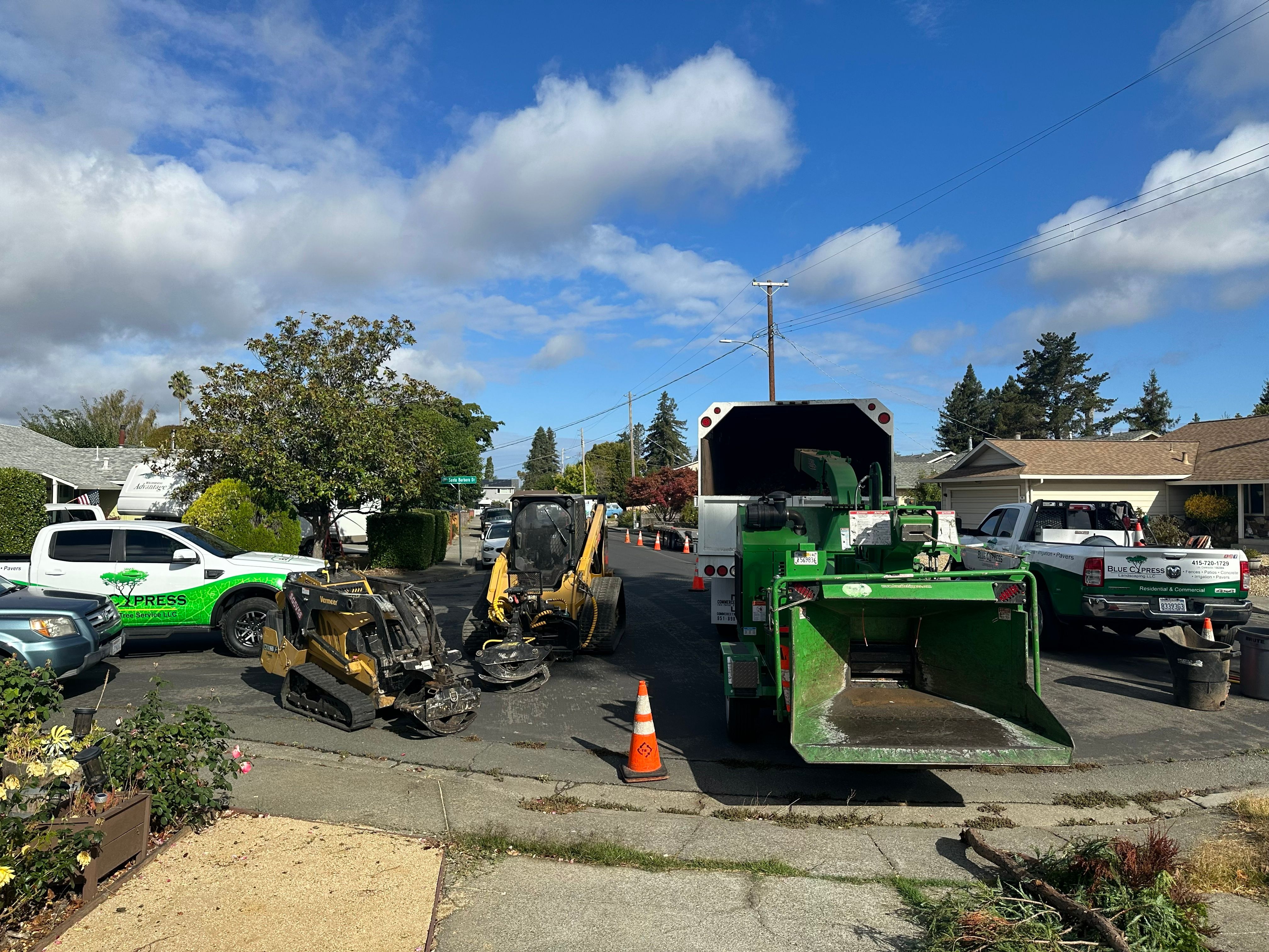 Tree Work