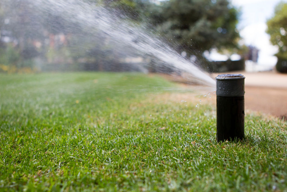 Irrigation and Lighting