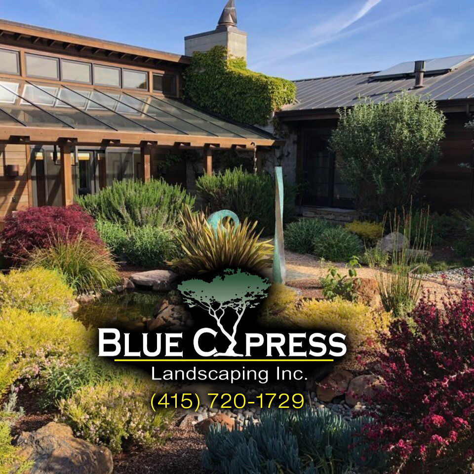 Blue Cypress Landscaping outdoor project