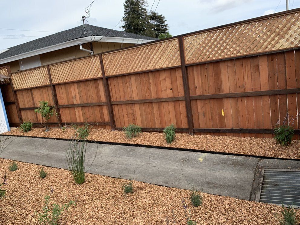 Fences, Decking and Arbors