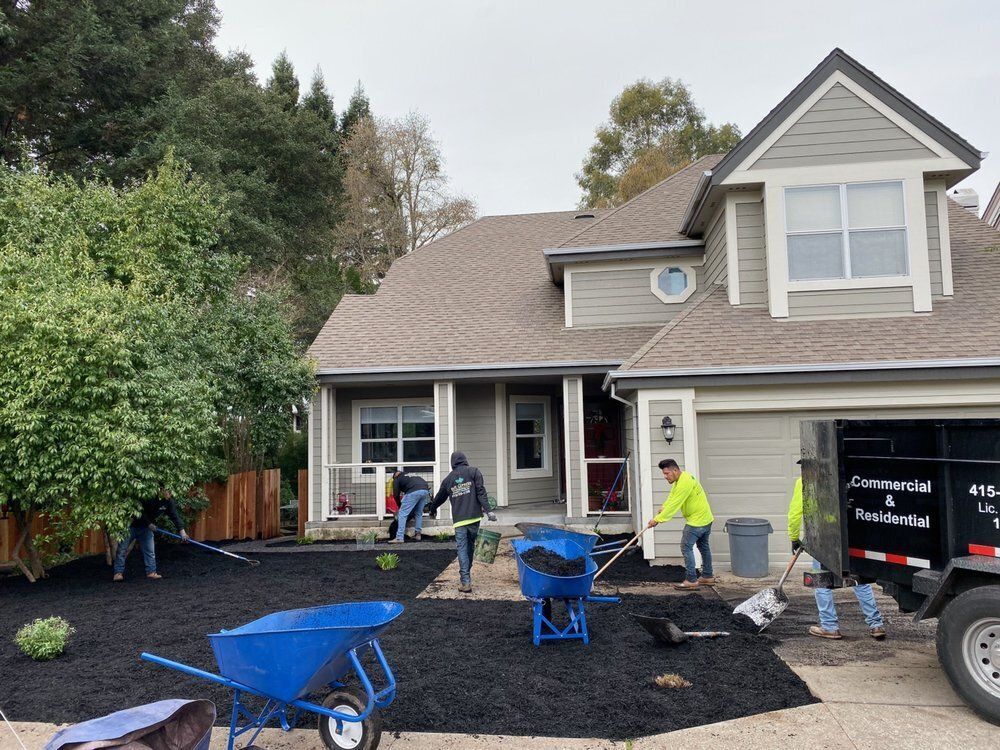 Why Choose Blue Cypress Landscaping