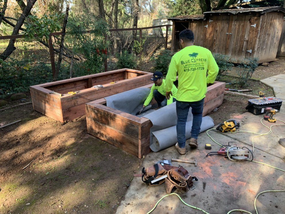 Blue Cypress Landscaping About Us