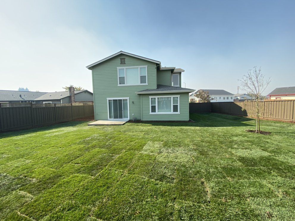 Sod and Artificial Turf