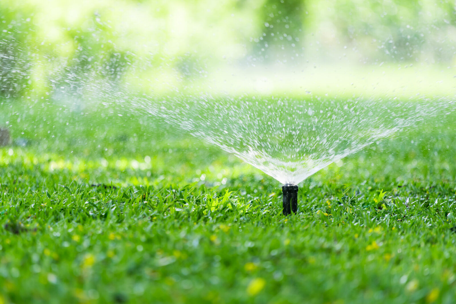 Irrigation system installation by Chavez Landscape & Concrete