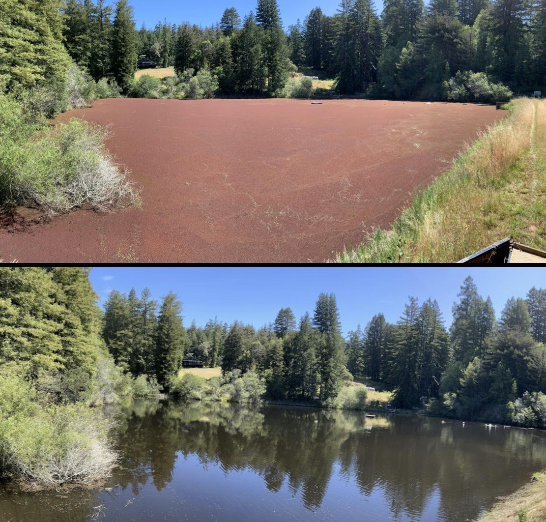 Lake Restoration