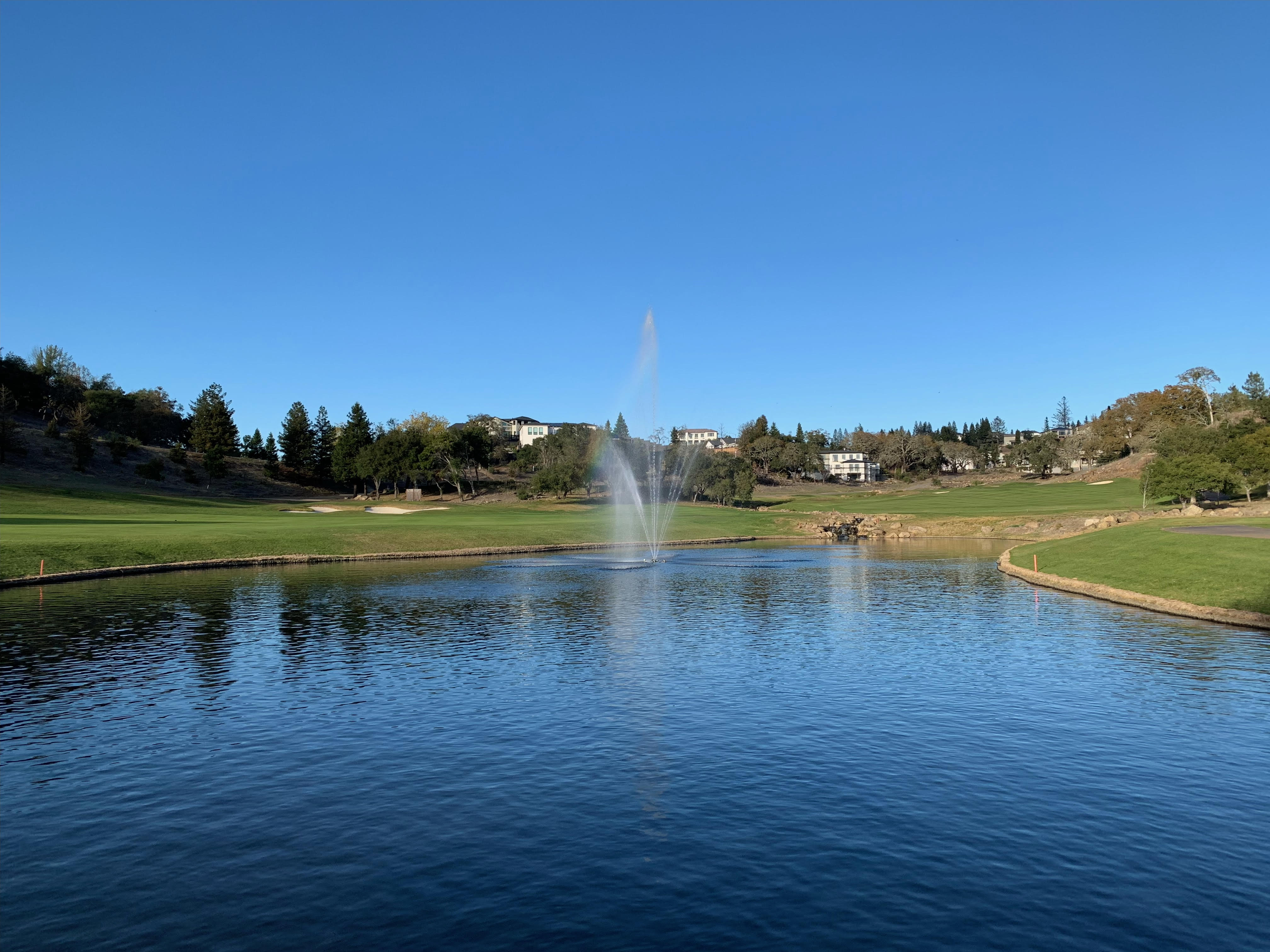 Pond Maintenance