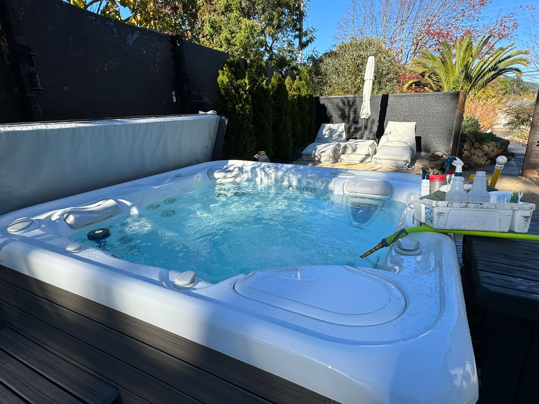 Pool Cleaning