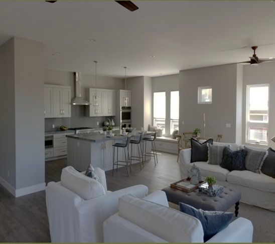 Pascale Place Napa interior living room and kitchen open layout