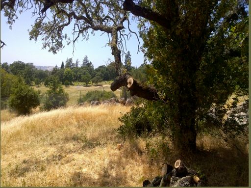Pascale Place Napa before photo 1