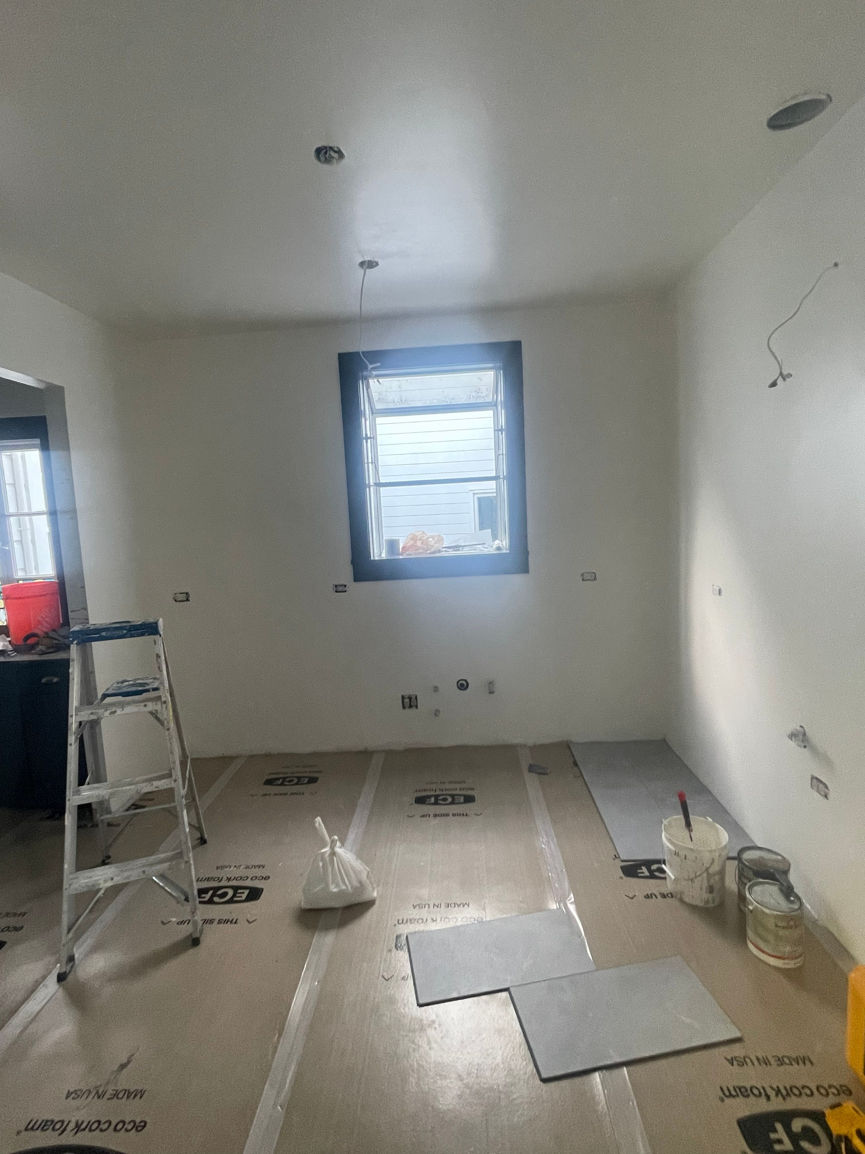 Interior and exterior painting