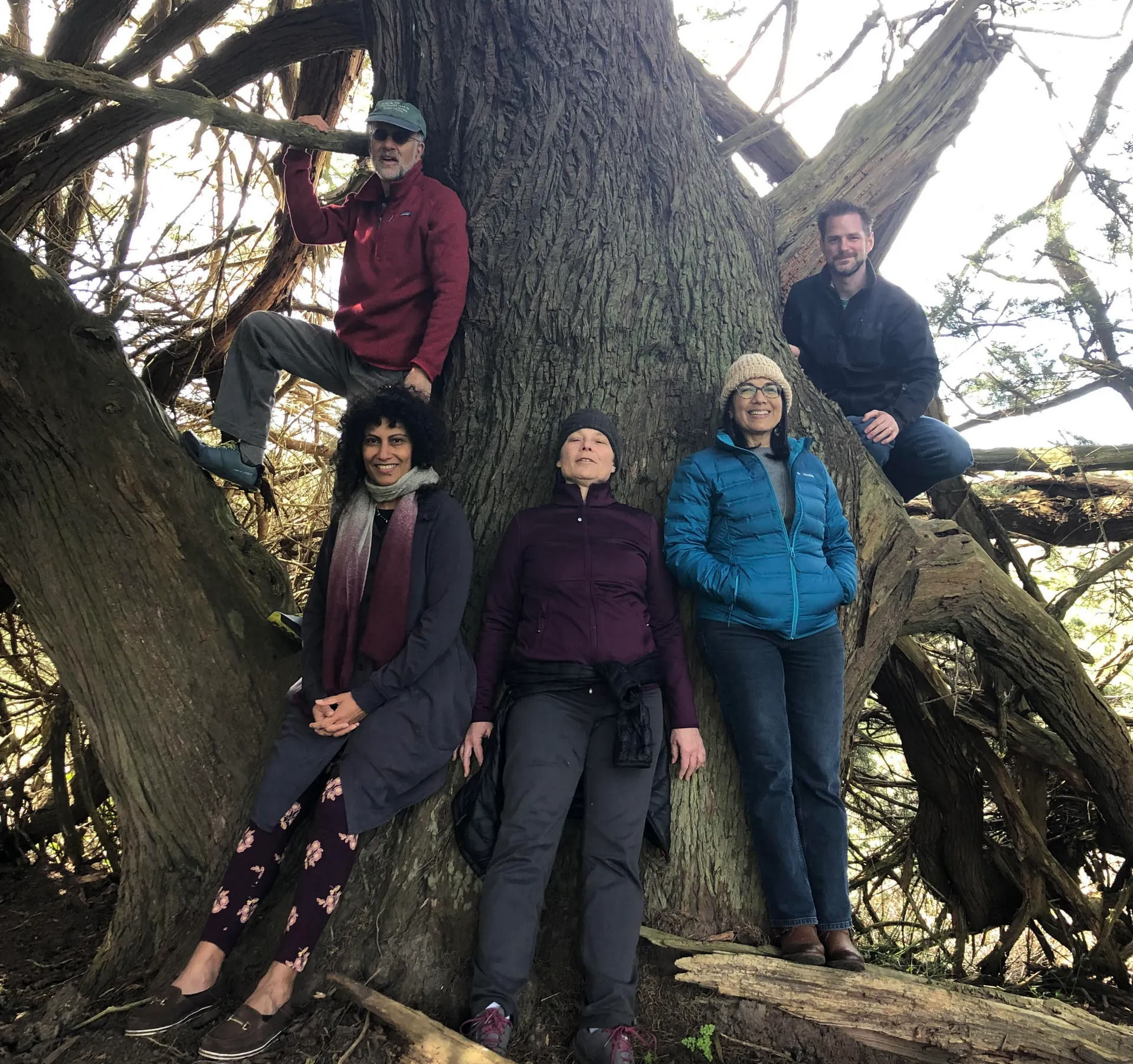 Connection to nature and healing