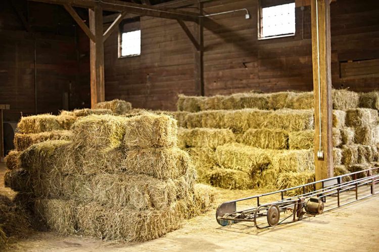 Farallon AG Services, LLC barn and farm improvement services