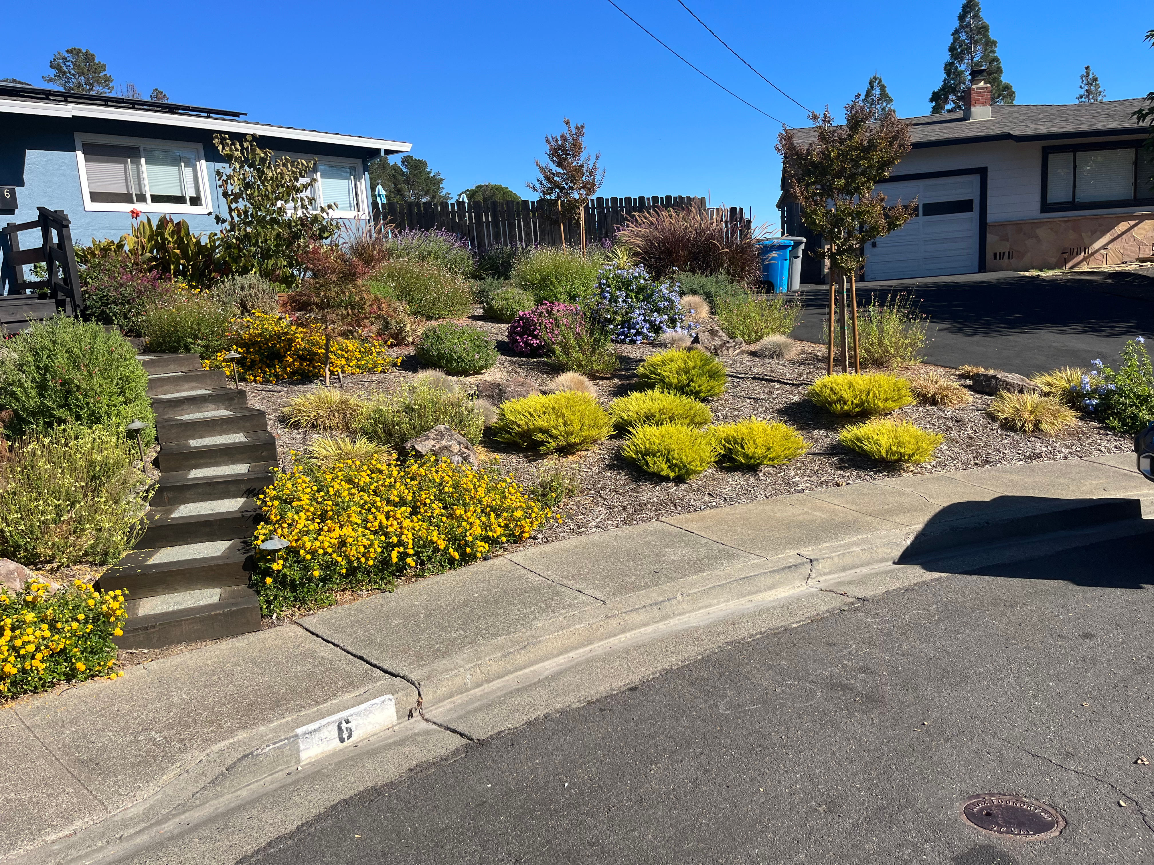 Garcia's Landscaping Project 1