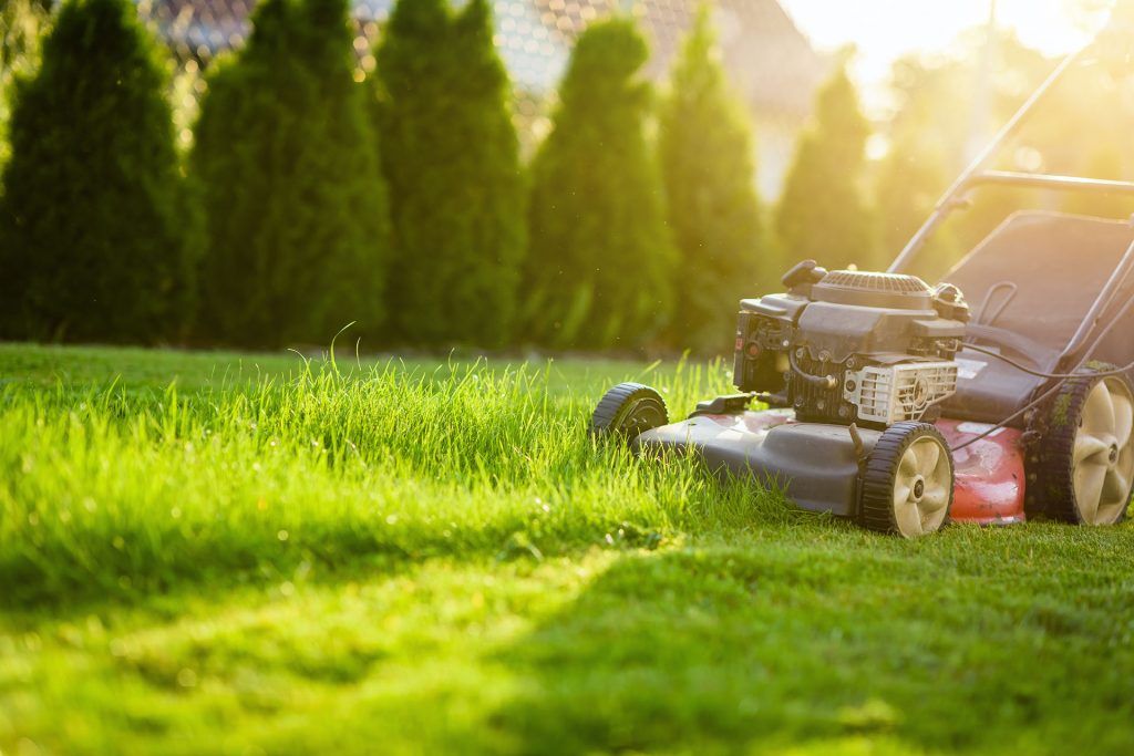 Lawn mowing and exterior upkeep by Harold's Hands
