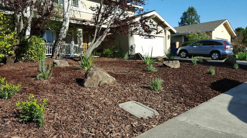 Juan of JBS Landscaping Co.