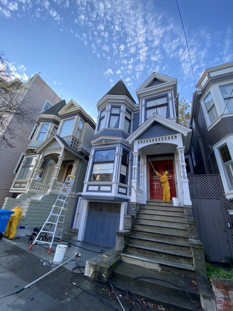 Professional painting project by Eddie's Painting