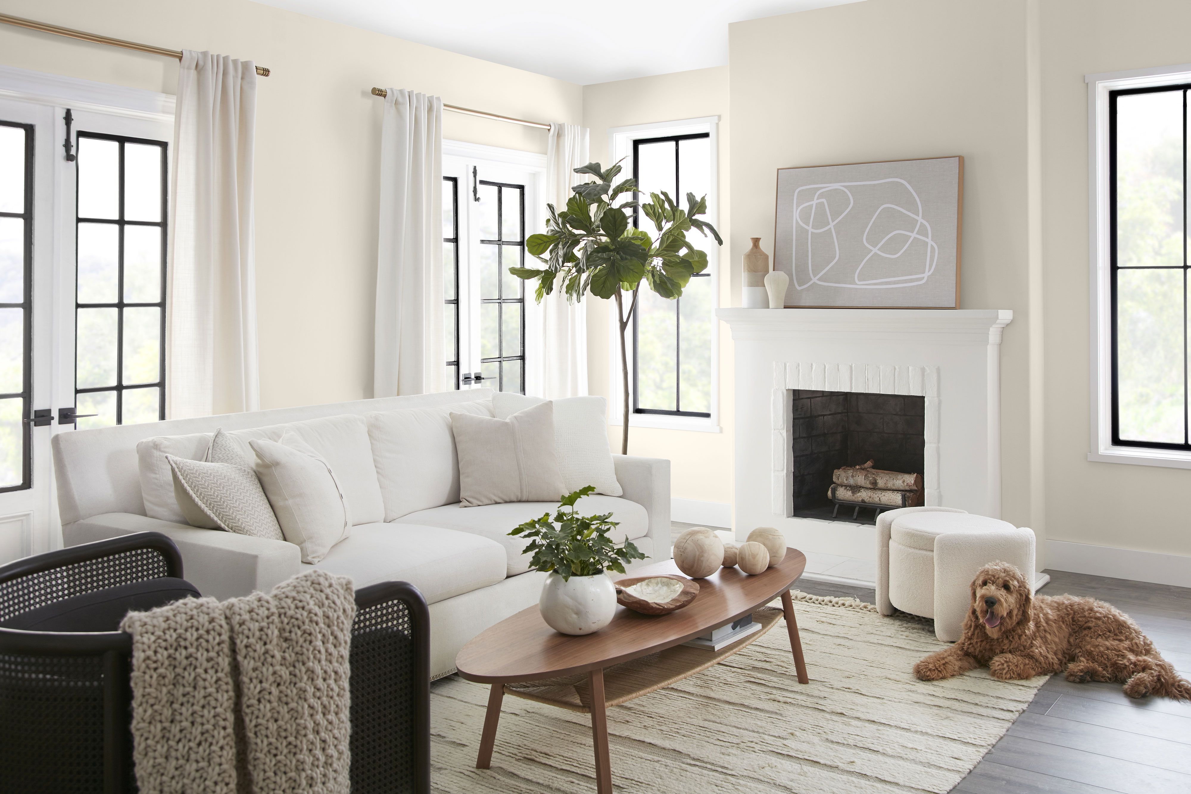 Why Choose Mario Cruz Painting & Decorating