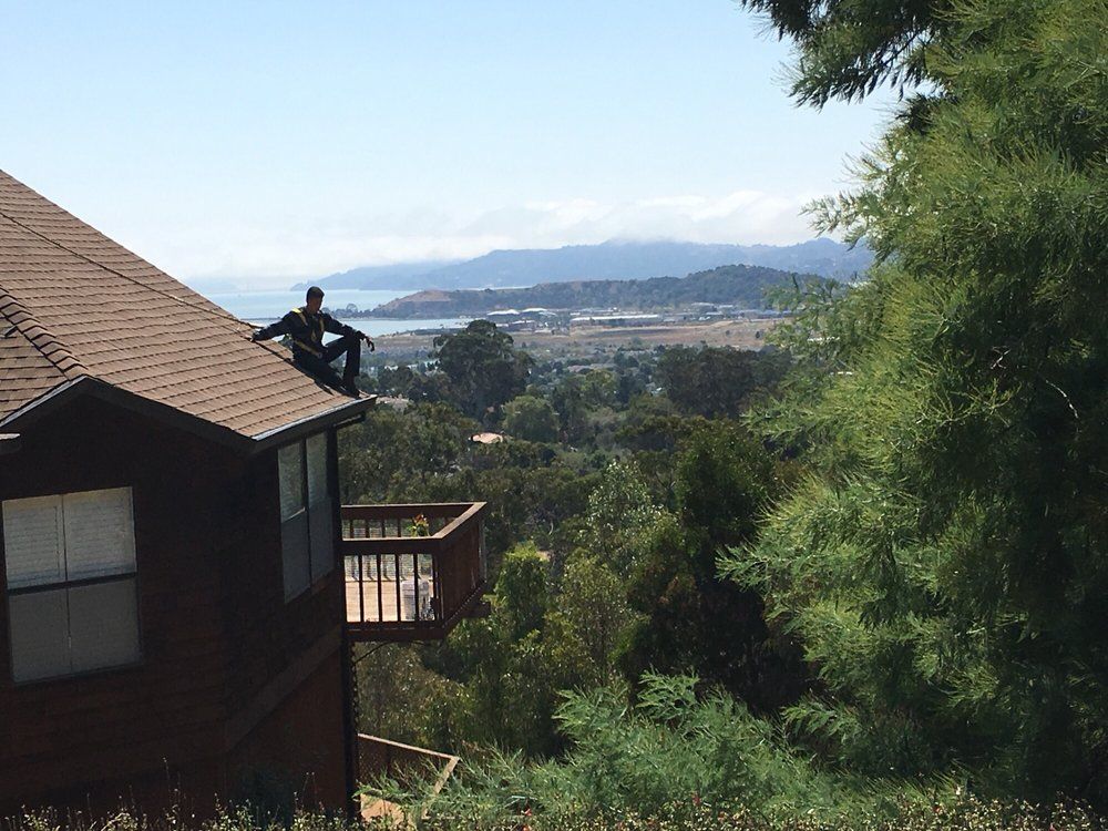 Sanchez & Son Roofing project