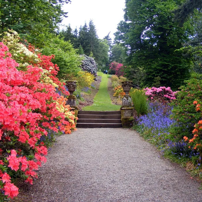 Lush garden bed with flowering plants