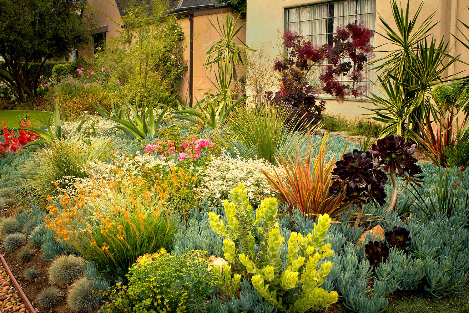 Landscape Maintenance