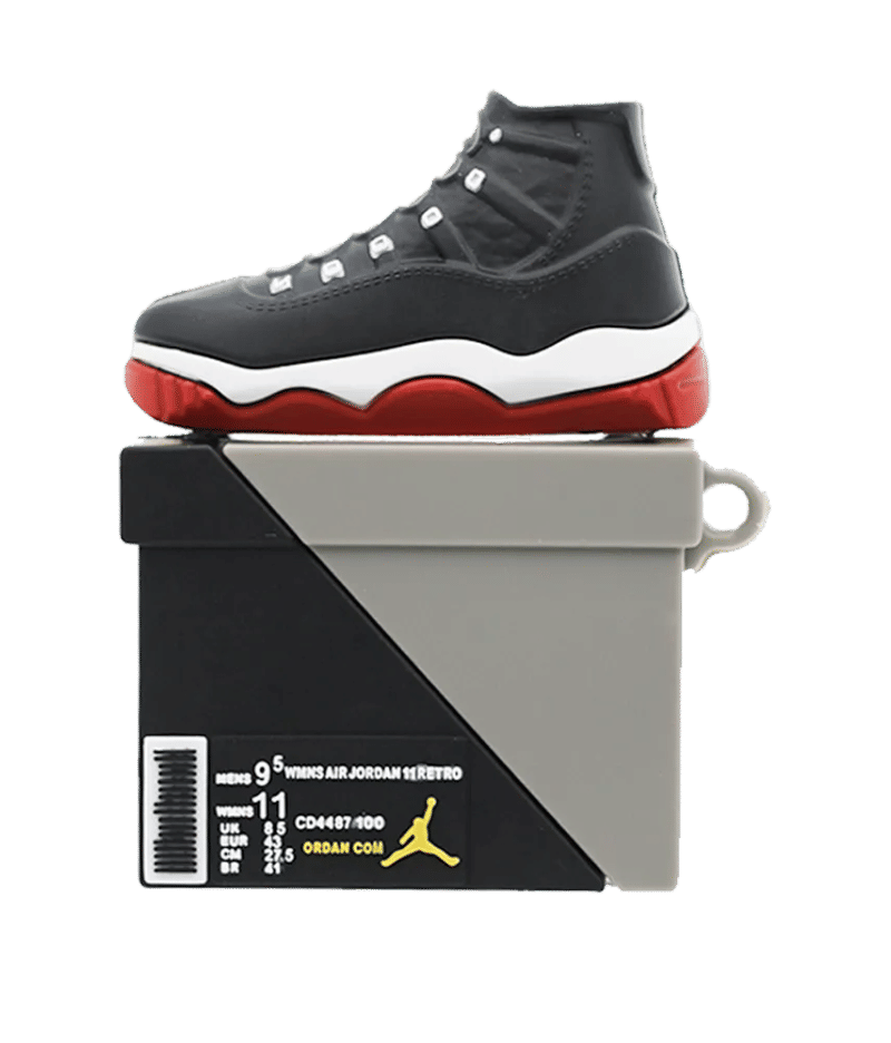 AirPods 3D Jordan Flight 2 case