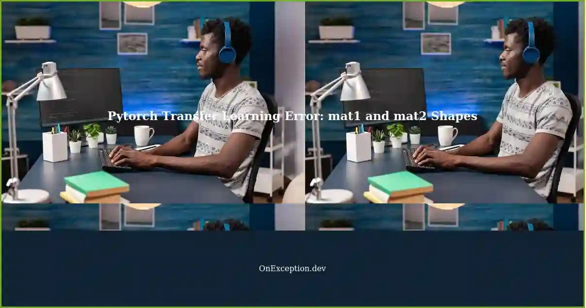 Error in Transfer Learning with Pytorch Pretrained Models and Custom