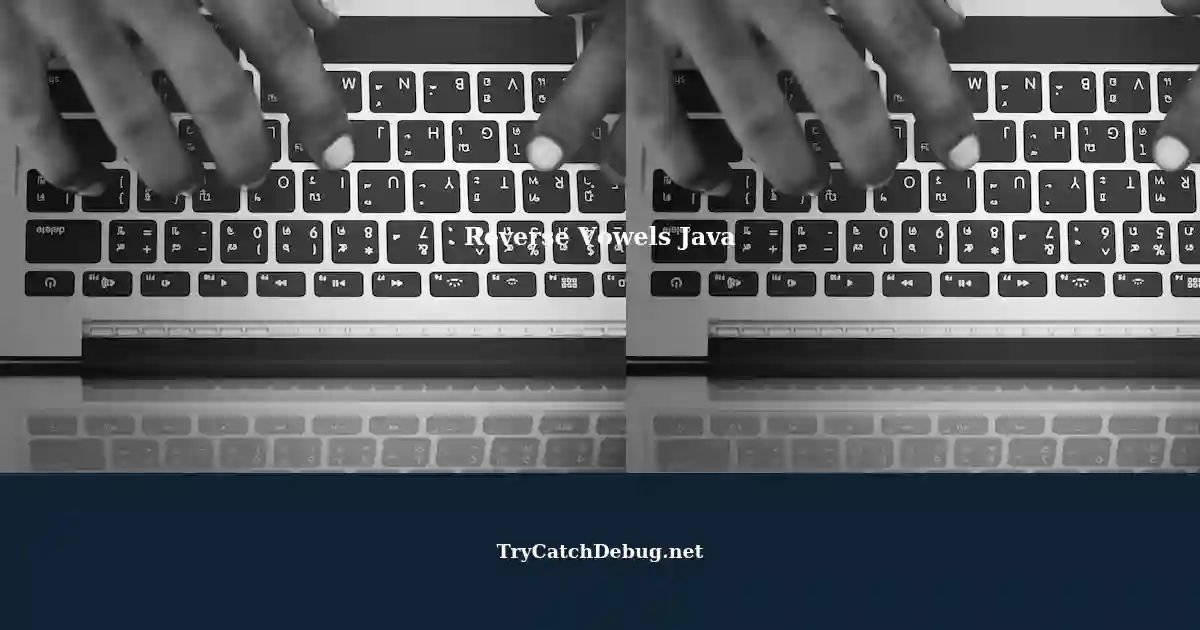Reverse Vowels String Using Java