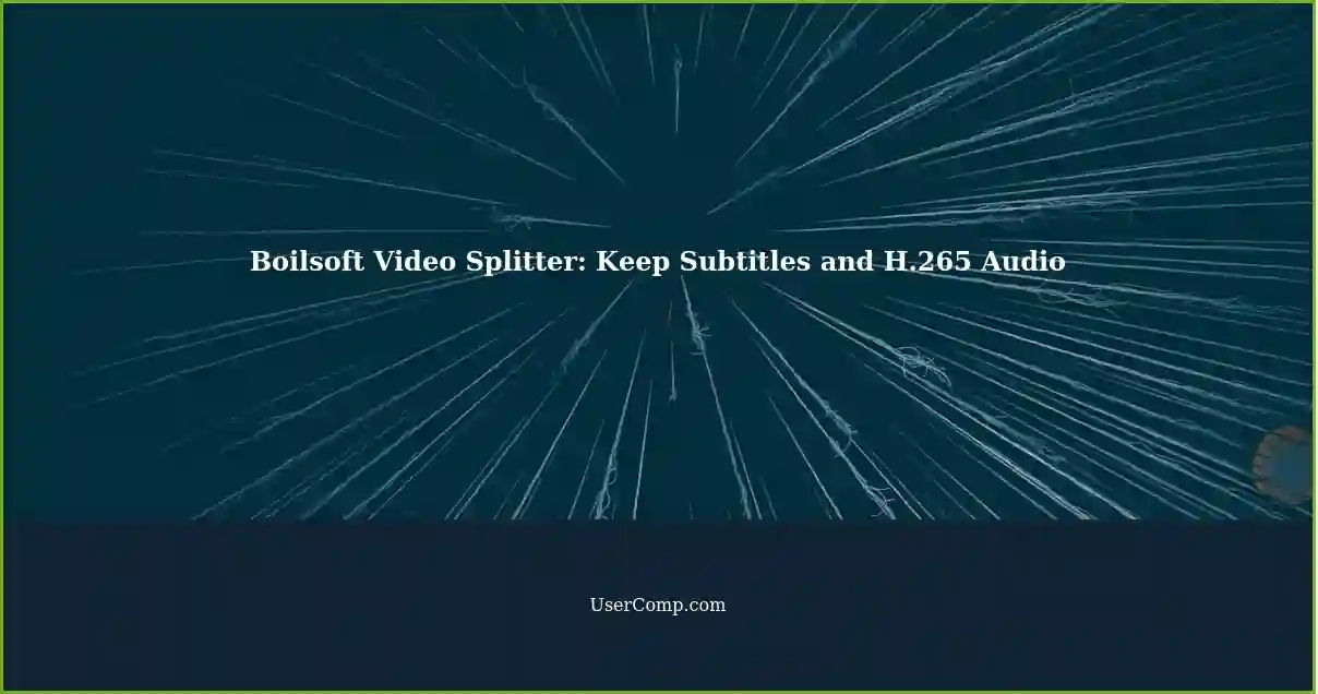Boilsoft Video Splitter: Keep Subtitles and H.265 Audio