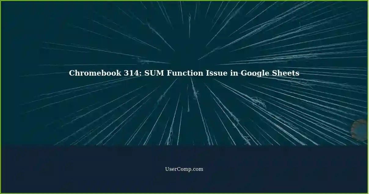 Chromebook 314: SUM Function Issue in Google Sheets