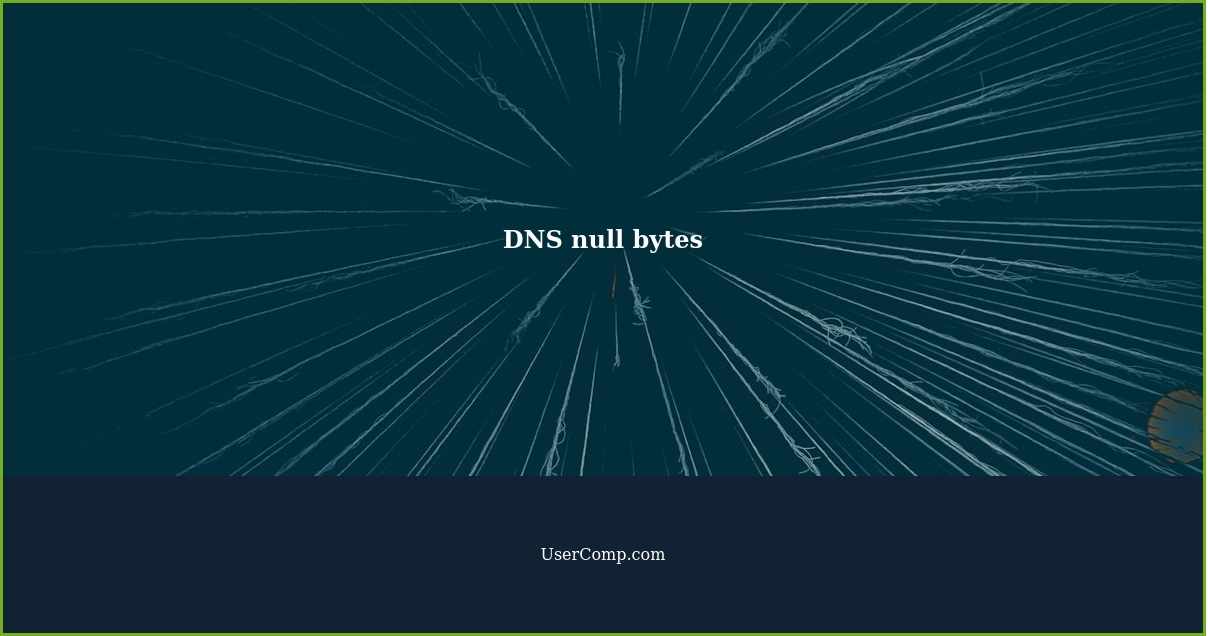 DNS null bytes
