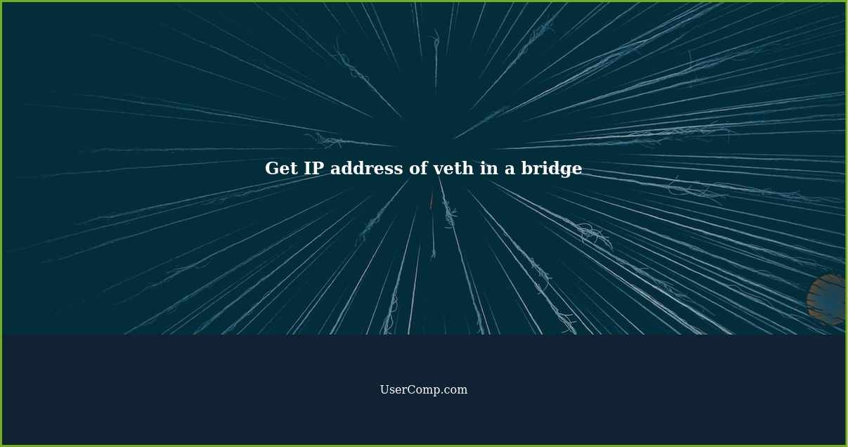 Get IP address of veth in a bridge