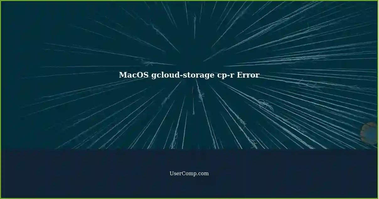 MacOS gcloud-storage cp-r Error