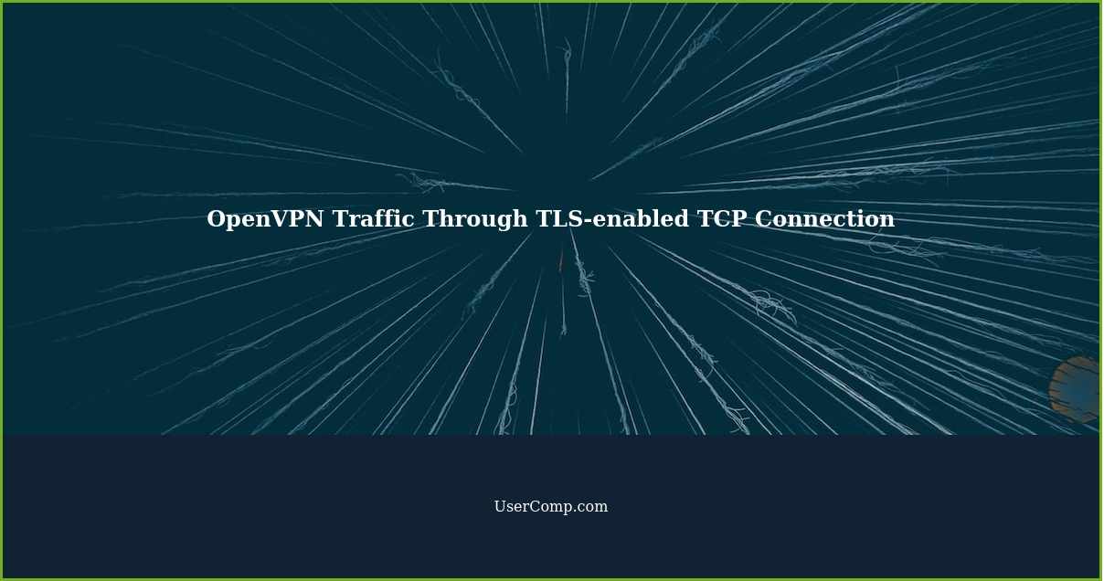 OpenVPN Traffic Through TLS-enabled TCP Connection