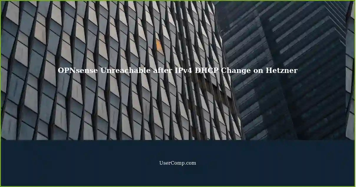 OPNsense Unreachable after IPv4 DHCP Change on Hetzner