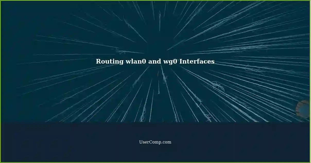 Routing wlan0 and wg0 Interfaces