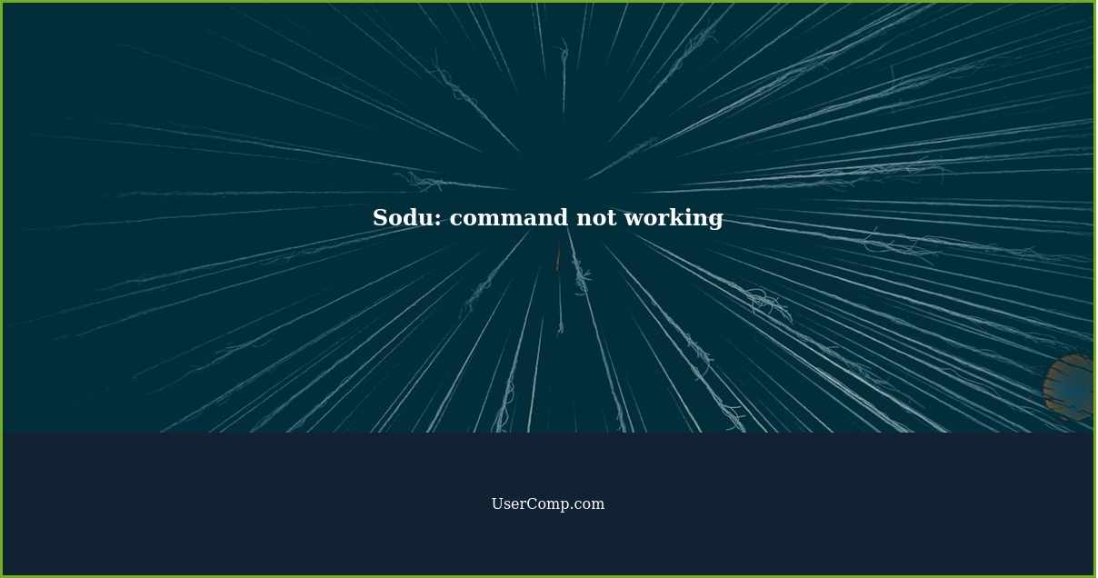 Sodu: command not working