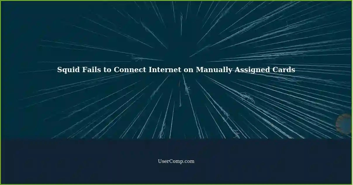 Squid Fails to Connect Internet on Manually Assigned Cards