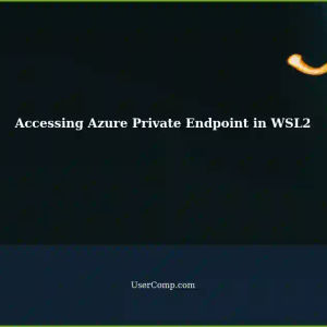 Configure WSL2 Networking Settings for Accessing Azure Private Endpoint