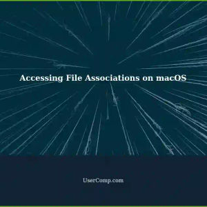 Accessing File Association Information on macOS Sonoma (14.3.1)
