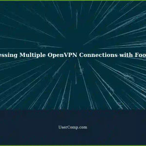 Accessing Multiple OpenVPN Connections with a Third-Party Proxy: A Guide for FooSoft Users